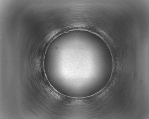X0000080701162200612151307