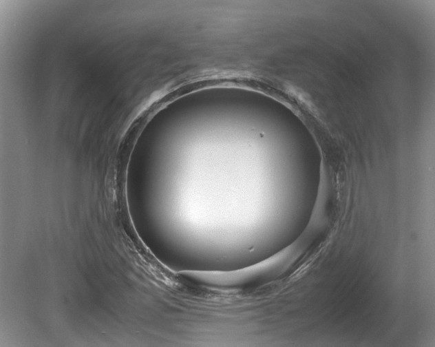 X0000080701165200612151307