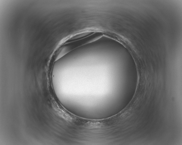 X0000080701168200612151307