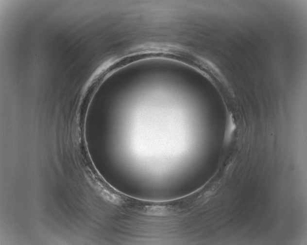 X0000080701172200612151307