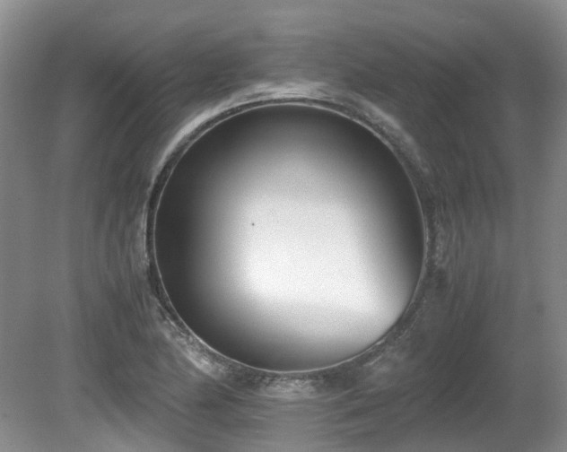 X0000080701174200612151307