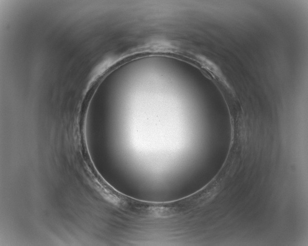 X0000080701176200612151307