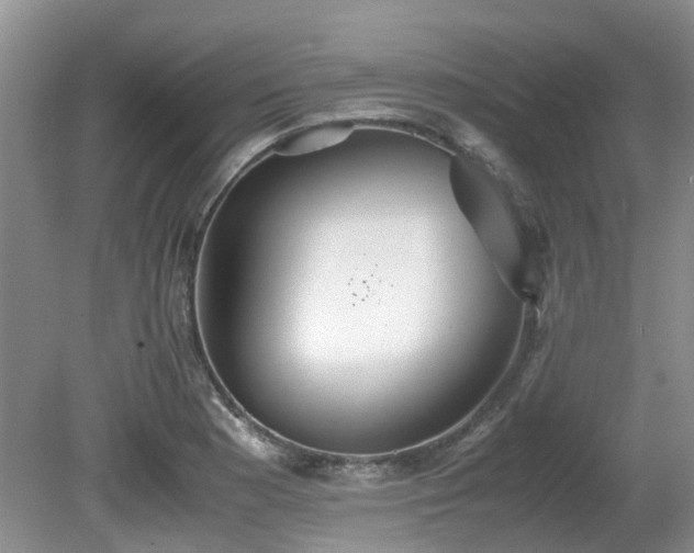 X0000080701177200612151307