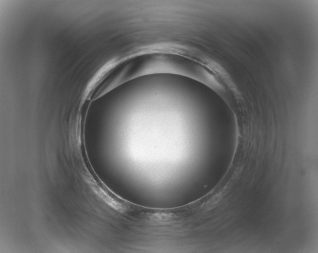 X0000080701180200612151307
