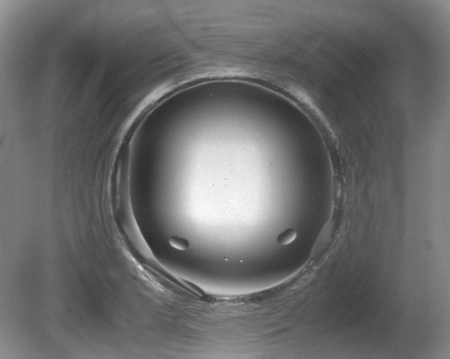 X0000080701181200612151307