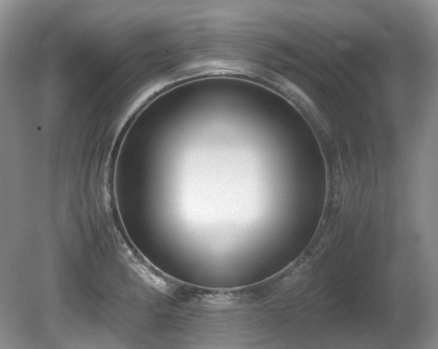 X0000080701182200612151307
