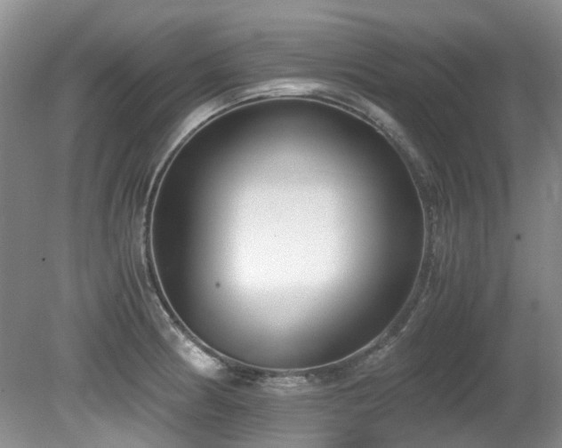 X0000080701186200612151307