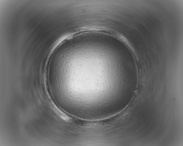 X0000080701187200612151307