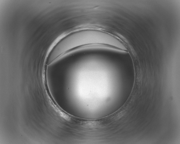 X0000080701188200612151307