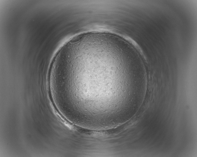 X0000080701191200612151307