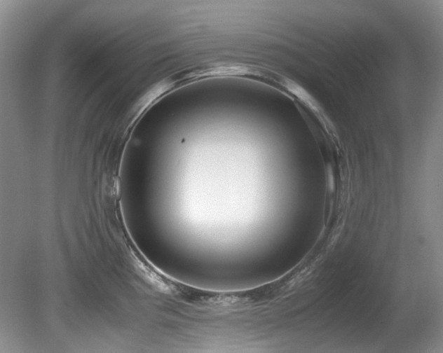 X0000080701193200612151306