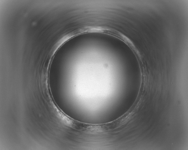 X0000080701194200612151306