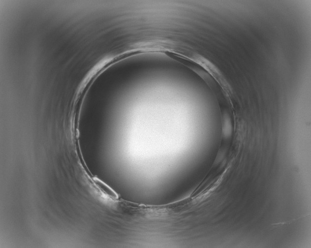 X0000080701196200612151306