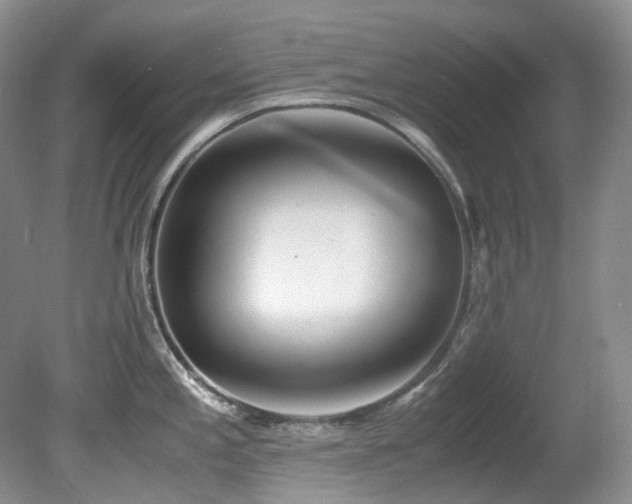 X0000080701197200612151306