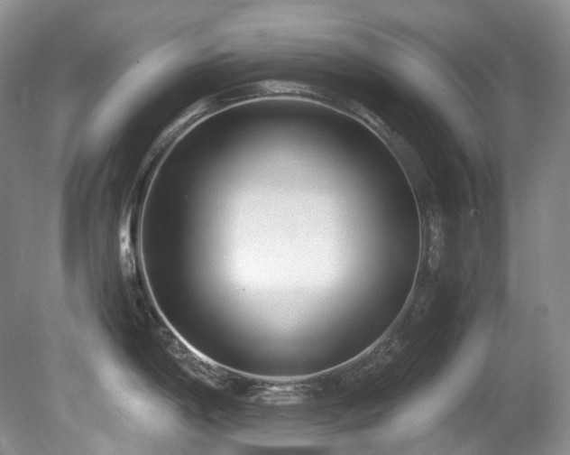 X0000080701198200612151306