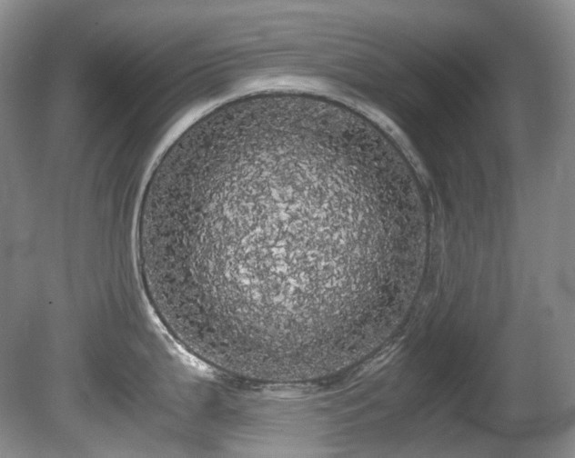 X0000080701199200612151306