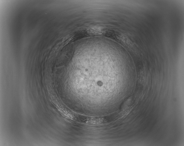 X0000080701201200612151306