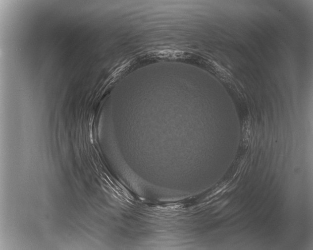 X0000080701202200612151306