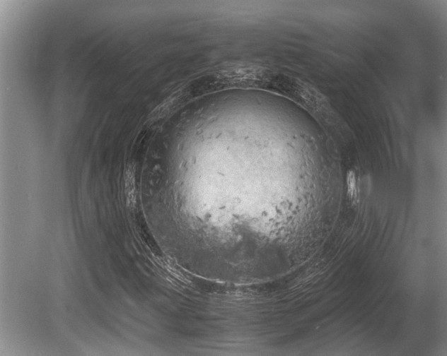 X0000080701203200612151306