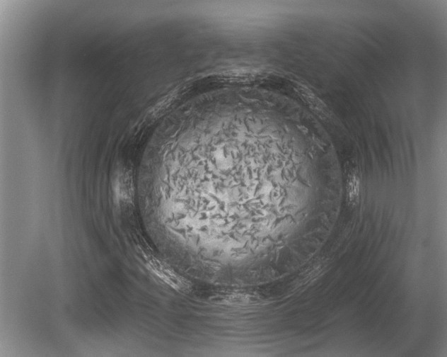 X0000080701204200612151306