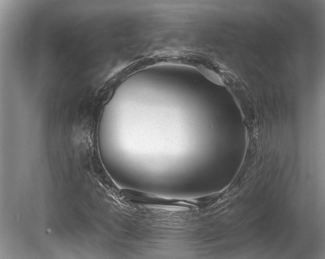X0000080701206200612151306