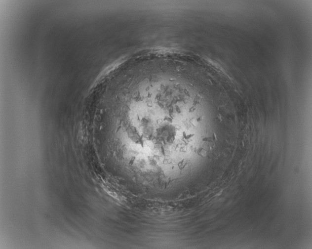 X0000080701207200612151306