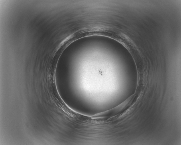 X0000080701210200612151306