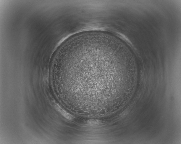 X0000080701220200612151306