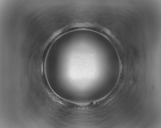 X0000080701221200612151306