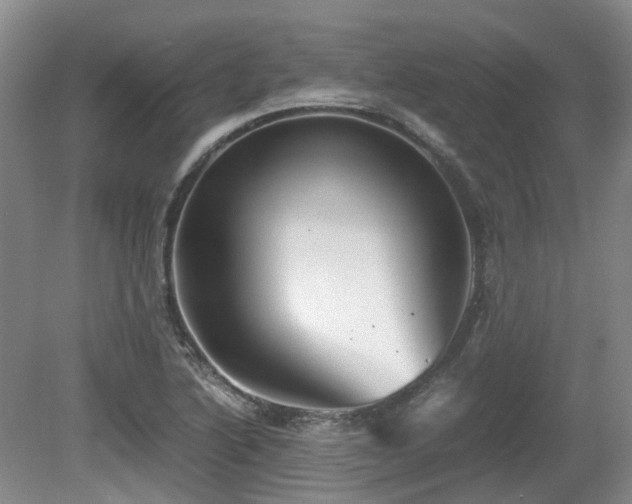 X0000080701222200612151306