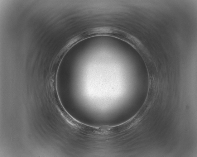 X0000080701225200612151306