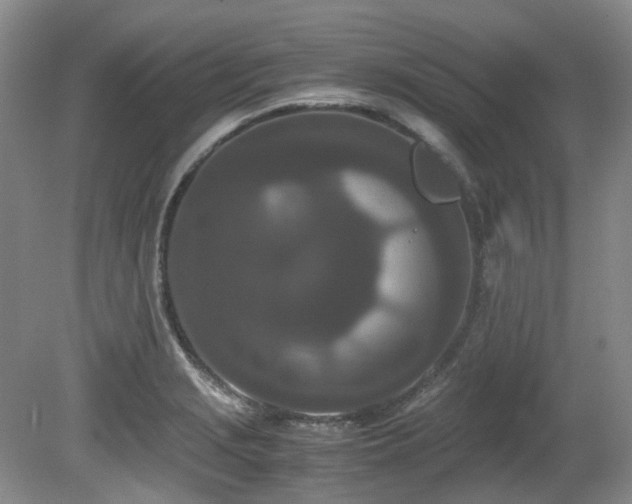 X0000080701229200612151306