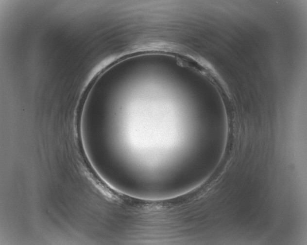 X0000080701230200612151306