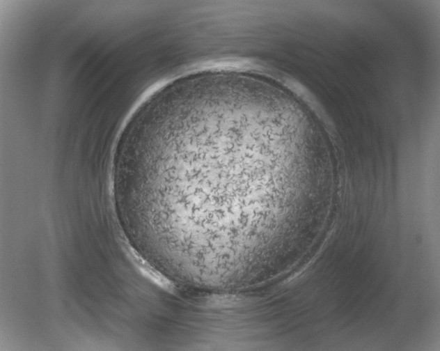 X0000080701232200612151306
