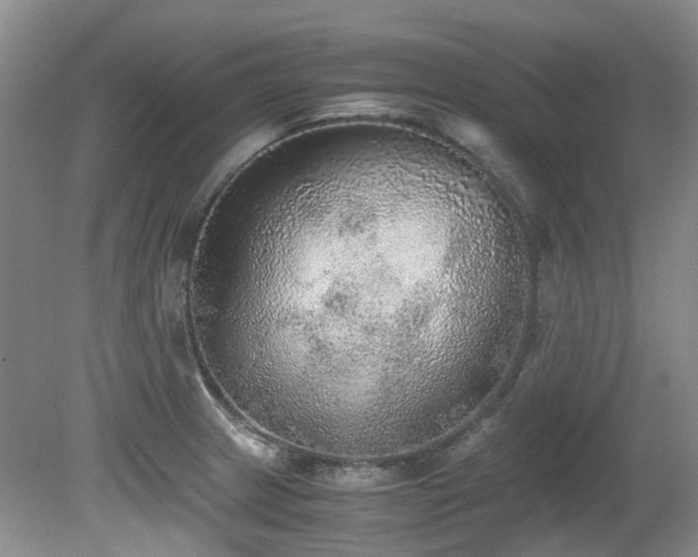 X0000080701233200612151306
