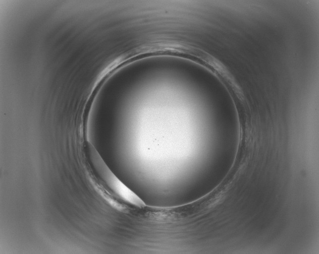 X0000080701234200612151306