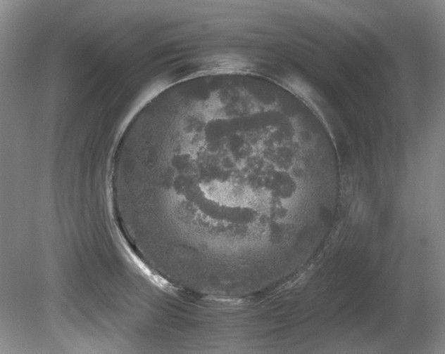 X0000080701235200612151306