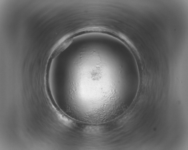 X0000080701237200612151306