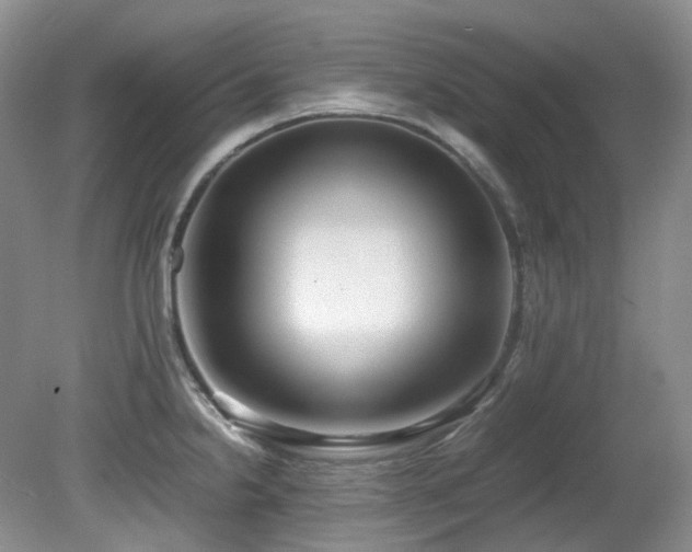 X0000080701238200612151306