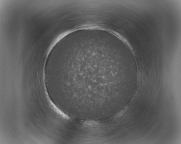 X0000080701239200612151306