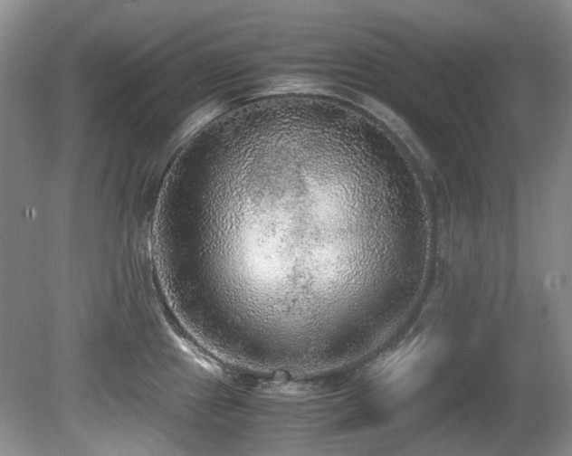 X0000080701241200612151306