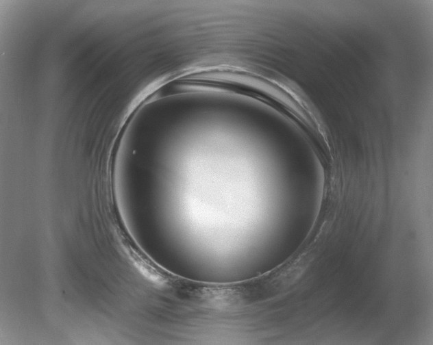 X0000080701242200612151306