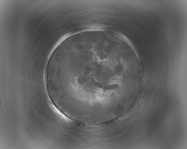 X0000080701243200612151306