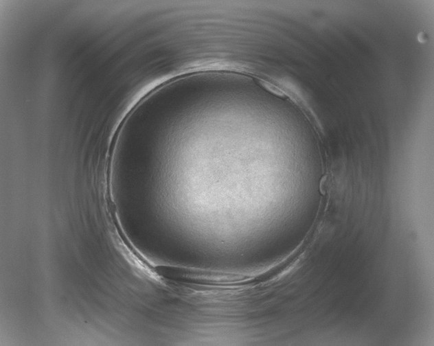X0000080701244200612151306