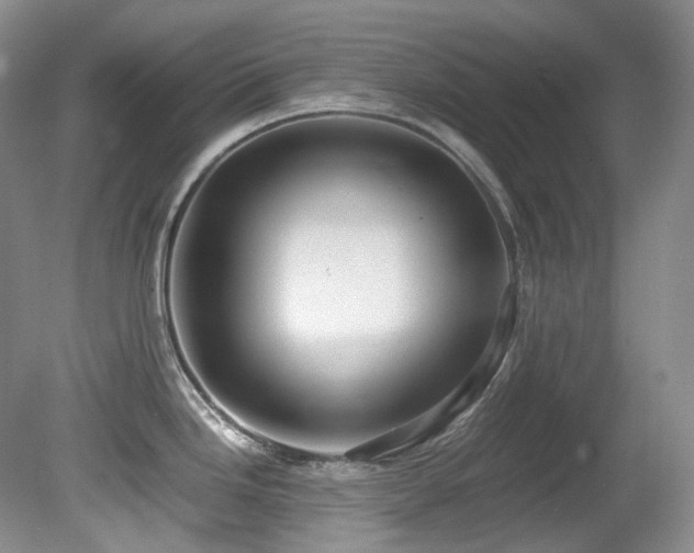X0000080701246200612151306