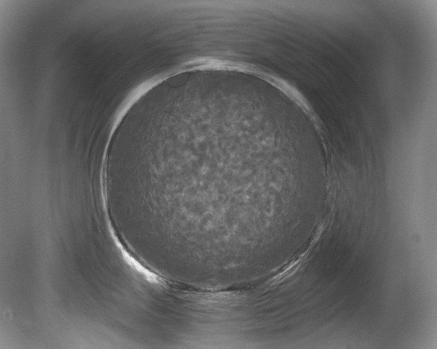 X0000080701247200612151306