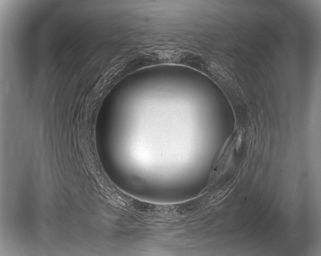 X0000080701249200612151306