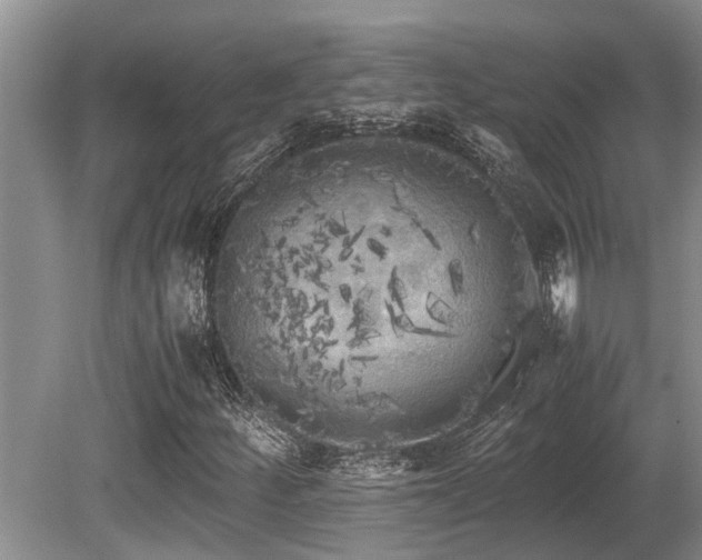 X0000080701252200612151305