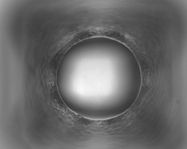 X0000080701253200612151305