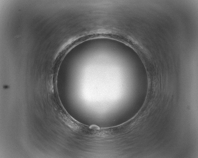 X0000080701262200612151305